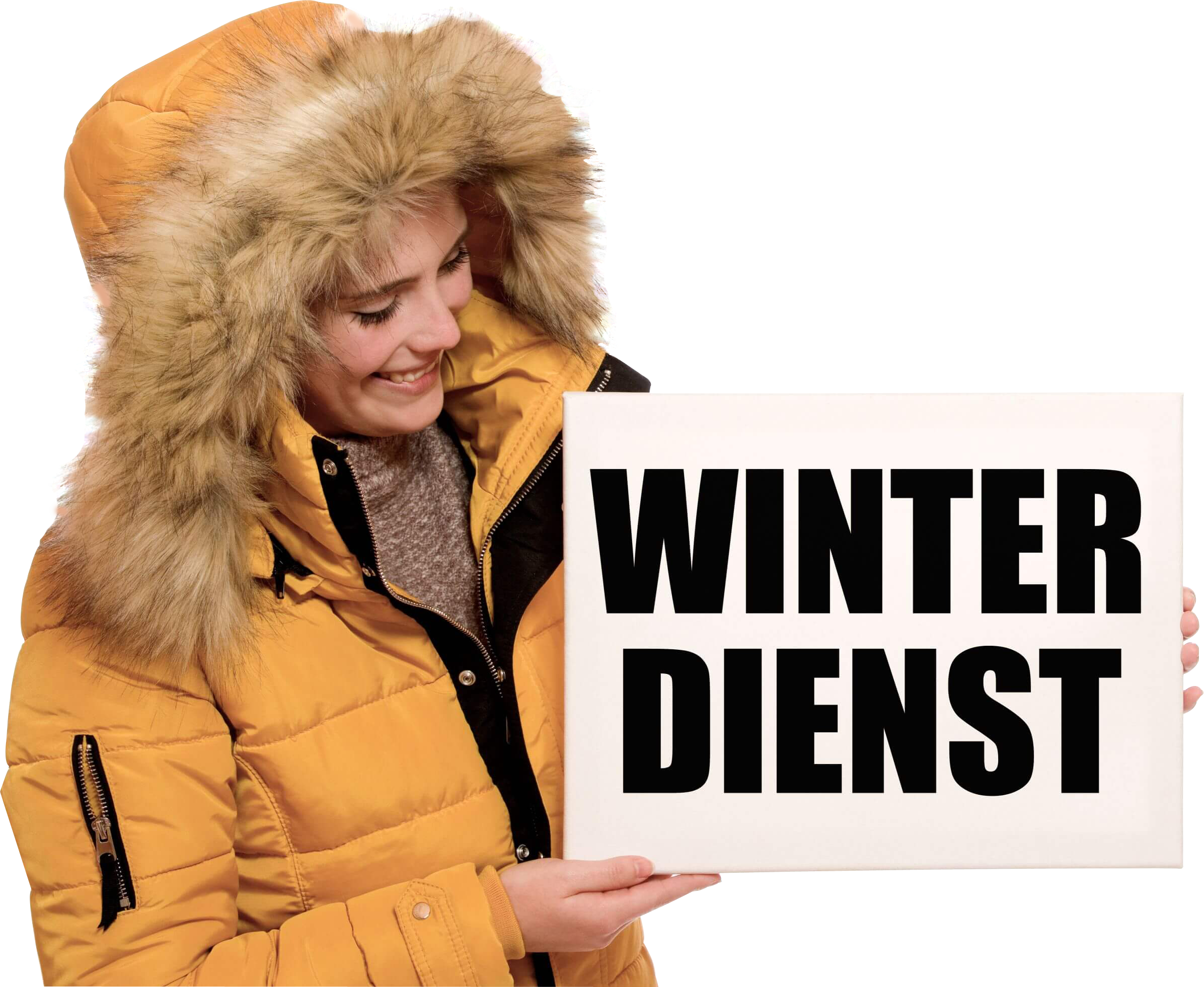 Winterdienst-Angebot-anfordern